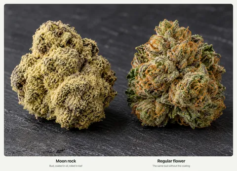 A cannabis bud coated in oil and rolled in pale kief next to a plain green bud on slate.